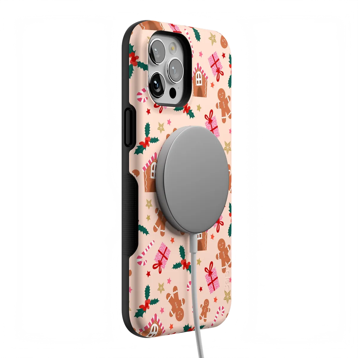 Frosted Wishes | Sweet Treat Case - Image 84